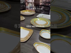 কাস্টম সাদা রঙের মেলামাইন টেবিলওয়্যার উচ্চ মানের মেলামাইন হোটেলওয়্যার